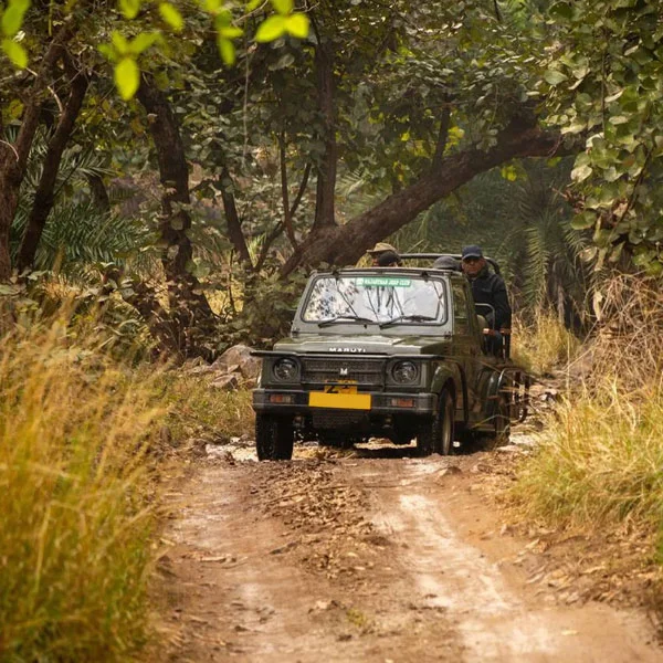 Village Safari Kumbhalgarh